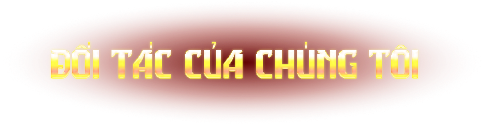 Đối tác Social Pioneers